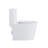 Rainlex 1.6 Gallons GPF Elongated Comfort Height Floor Mounted Close Coupled Toilets (Seat Included)-100078672