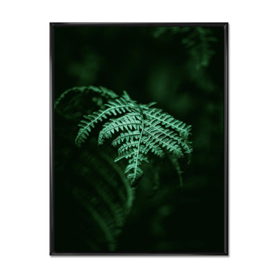 Fougère vert foncé sur fond noir I - reproduction sur toile