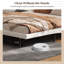 Lit plateforme Wave-Like Curve-1976403890-1976403888
