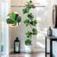 Faux Plant-1368518105