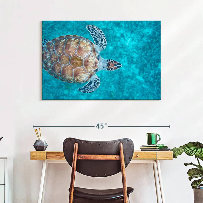 Swimming Hawksbill Sea Turtle, 26" H x 39" W