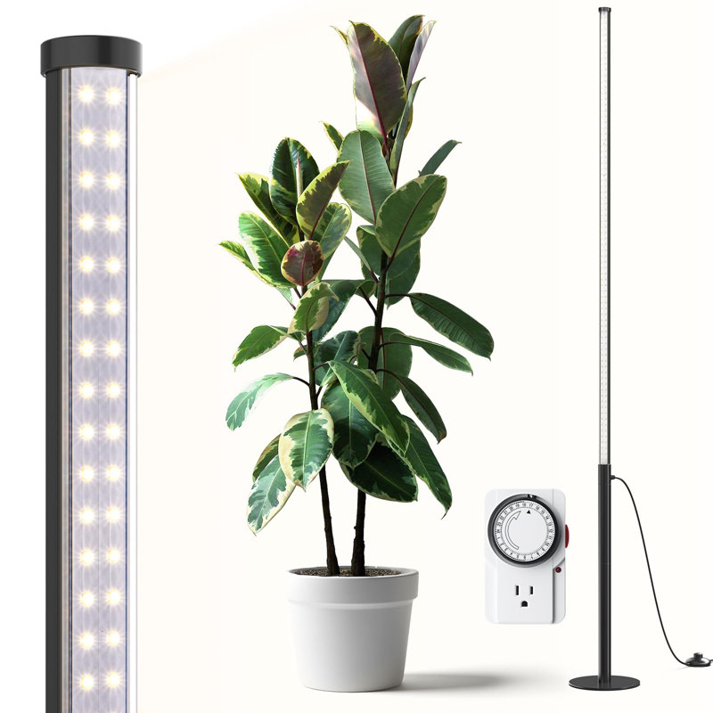 Éclairage de culture sur pied avec minuterie, 42 W, 5 000 K, lumières verticales à spectre complet pour plantes d'intérieur, couverture large, hauteur de 4 pi à 5,6 pi avec interrupteur au pied, pour les fleurs et les grandes plantes