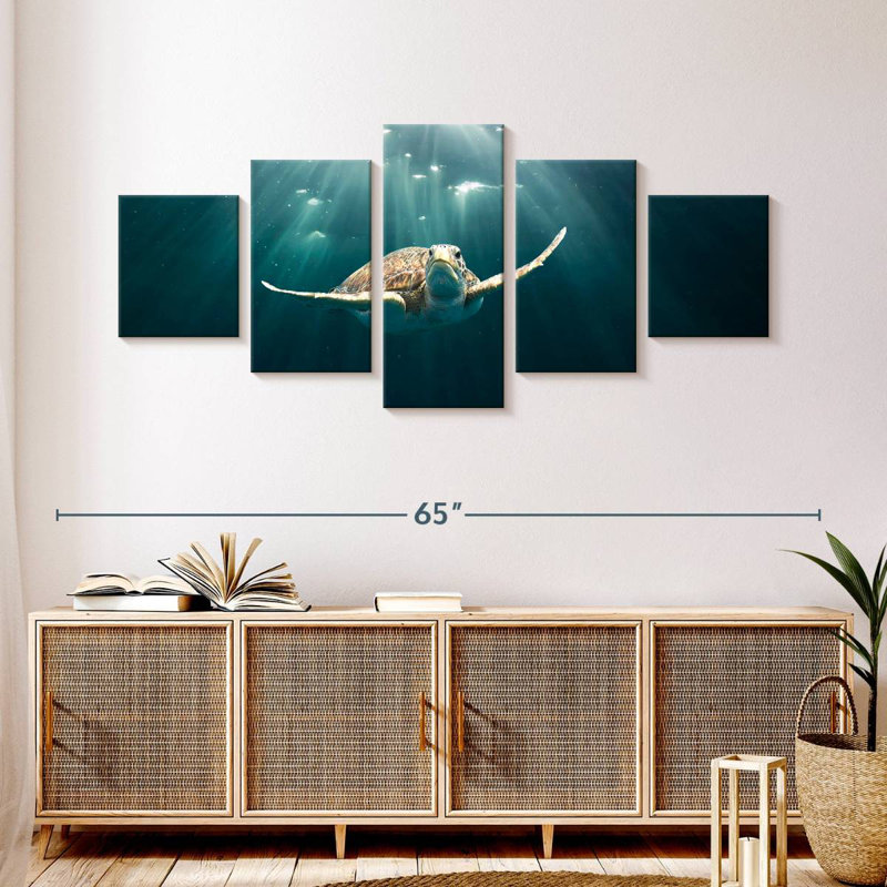 Brampt Red Sea Green Turtle, 24" H x 55" W