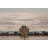 Conner-William Brown And Beige Accent Rug-1011351137