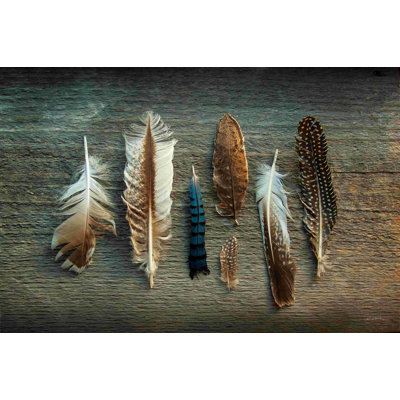Collection Feather I