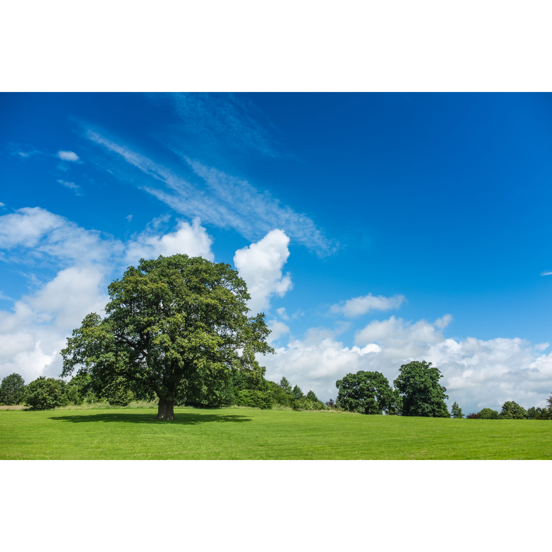 Beautiful Rolling Landscape von Tbradford - Kunstdrucke auf Leinwand ohne Rahmen