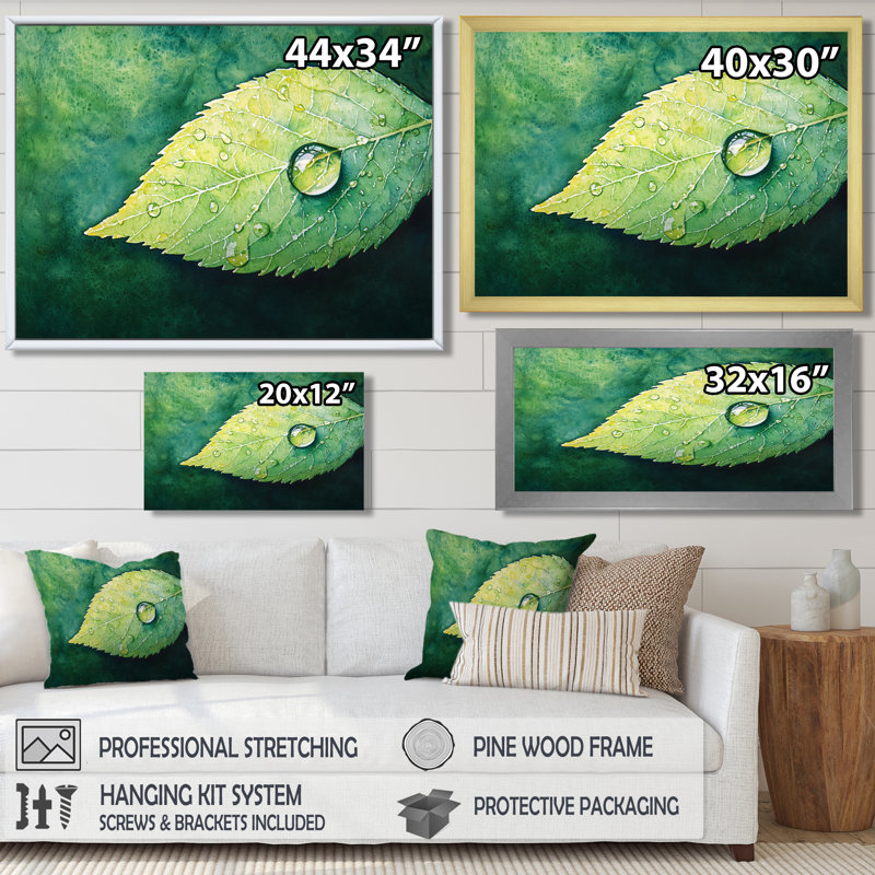 Décoration murale Jacylyn, Reproduction encadrée d'une seule photo, Noir, H 12 po x l 20 po