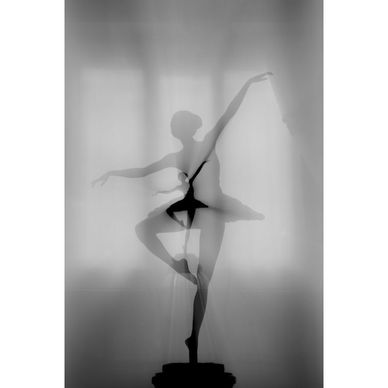 Wrapped Canvas Print, 50.8 cm H x 76.2 cm W