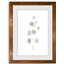 Douce branche d'eucalyptus II - Peinture encadrée sur papier-1547359573-1547359572