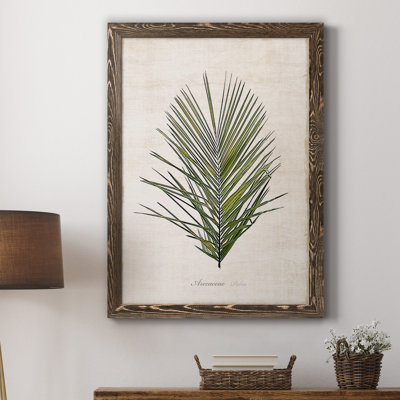 " Palm Botanical I " Painting Print