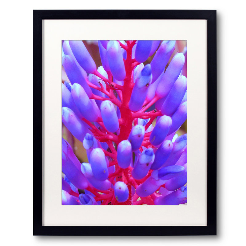 Blue And Magenta Fabricata Print by Drew Gaffney, 21.25" H x 17.25" W