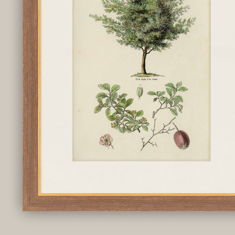 Martha Stewart Skylands, art mural en bois, étude d'arbres II, 19,75 po x 25,75 po, salon et chambre à coucher, encadré