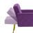 Zianny Velvet Accent Chair with Ottoman-673816098