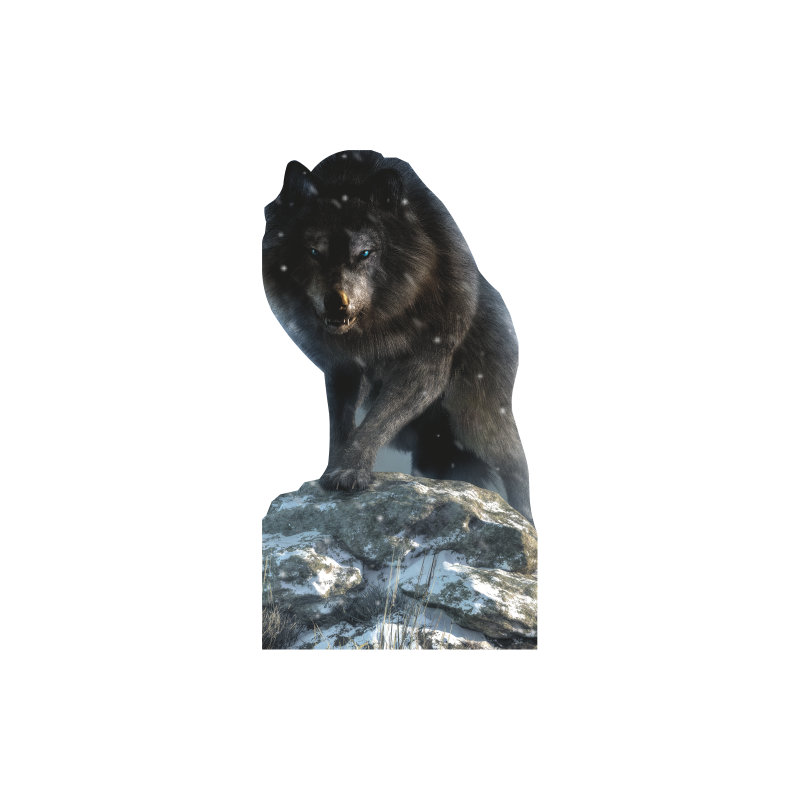 SP13378 Dire Wolf