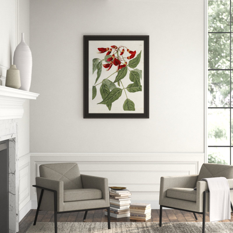Large Red Botanical II Print