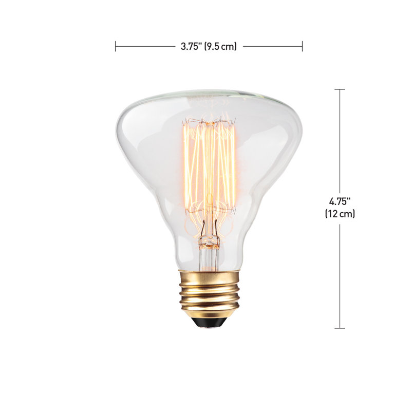 Ampoule incandescente à intensité variable 40 W G25 de 40 watts, blanc chaud (3000k) E26 / culot moyen (standard)