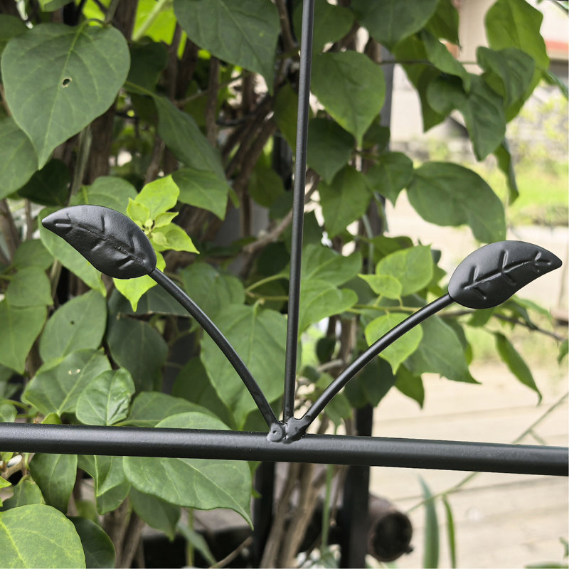 Treillis de jardin Annetta