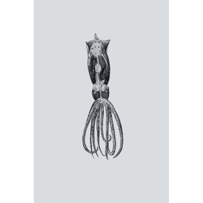Marine Life III 1 Piece Wrapped Canvas Wall Art, 122cm H x 81cm W