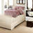 Luxurious Blush Velvet Bedding Sets, Modern Cozy Bedroom Decor
