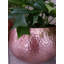 Shawnda Metal Pot Planter