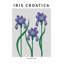 "Iris croate", art mural texturé encadré-1677766708-1677766707