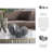 Doherty Polished Marble Decorative Sphere Accent Sculpture Set of 3-2137247191