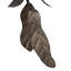 Will O' the Wisp Multi-Port Chandelier