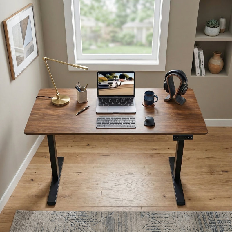 24"x48" Electric Height-Adjustable Standing Desk with Sit-Stand Function for Home Office, Dark Walnut Finish, Dark Walnut