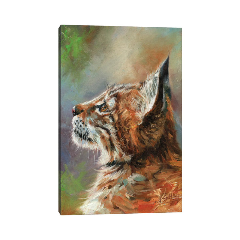 Lynx Wild Cat by David Stribbling - Wrapped Canvas Painting, 20.32 cm H x 30.48 cm W