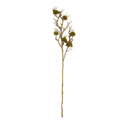 Ensemble de 6 branches florales Moss Branch