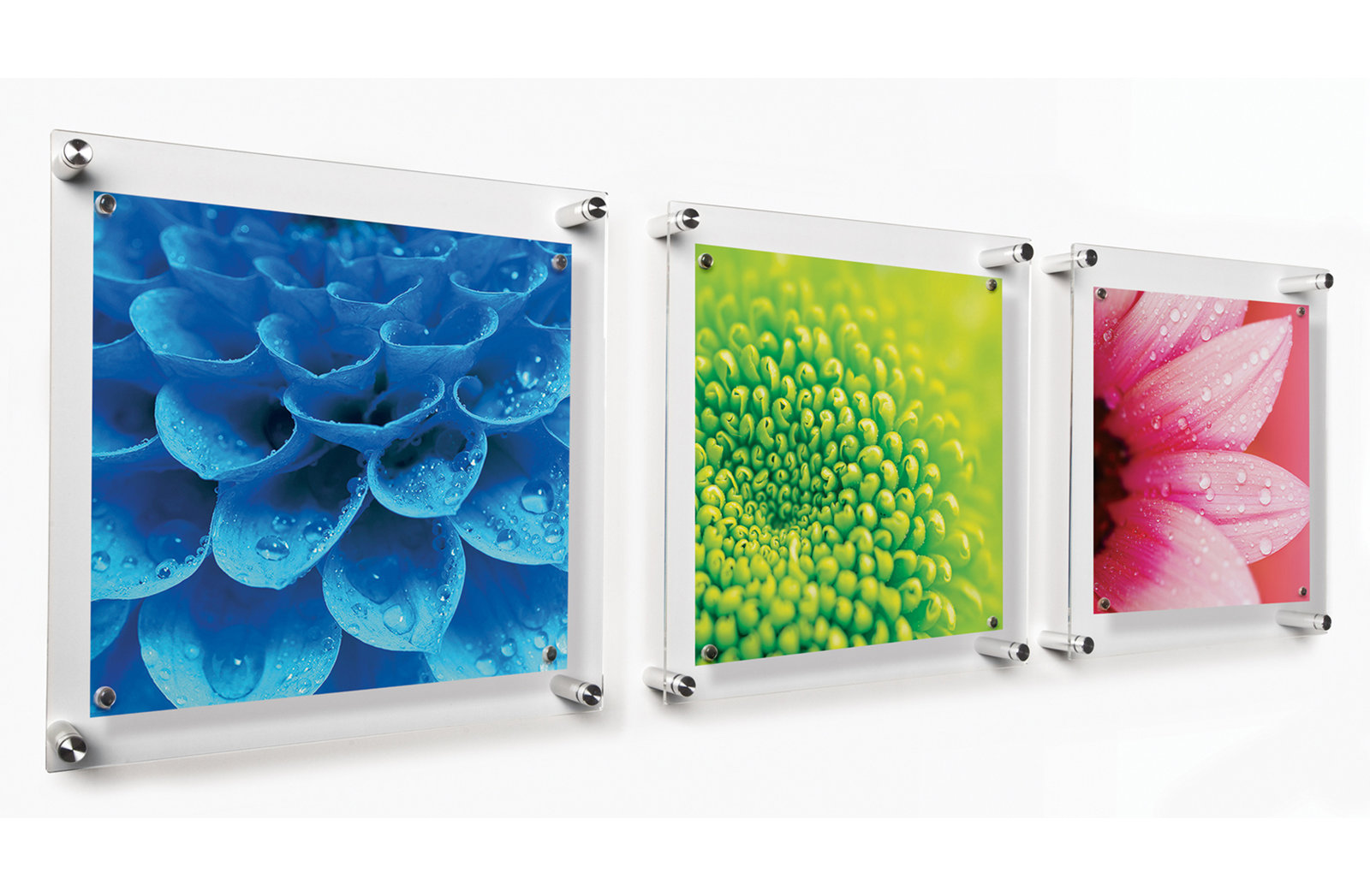 Trio 12" x 12" Picture Frame, Clear