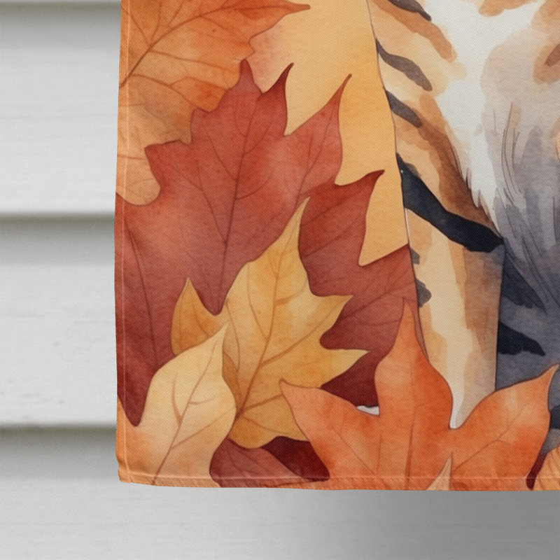 Chat en feuilles d'automne, Toyger