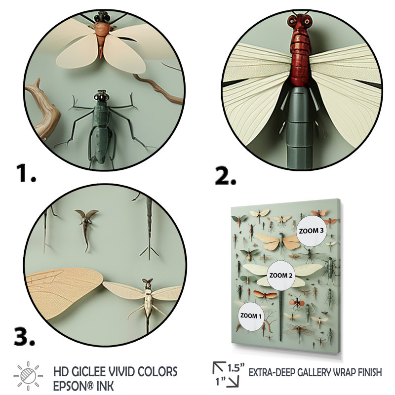 «Curious Dragonflies 1 - Insectes & Bugs», art mural, Cadre simple noir, H 40 po x l 30 po x P 1,5 po