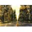 Long Road - imprimé mat encadré jaune pour le décor de la chambre à coucher