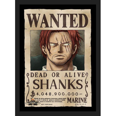 " One Piece Wanted Shanks "