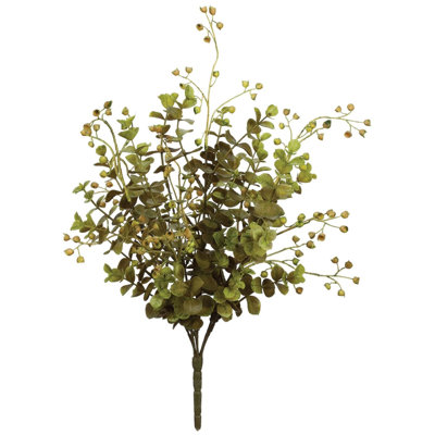 Plante tige d'eucalyptus