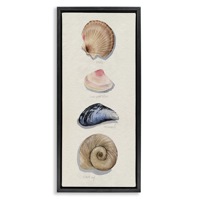 Art mural sur toile flottant, "Traditional Nautical Sea Shells" par Grace Popp, Cadre flottant noir de jais