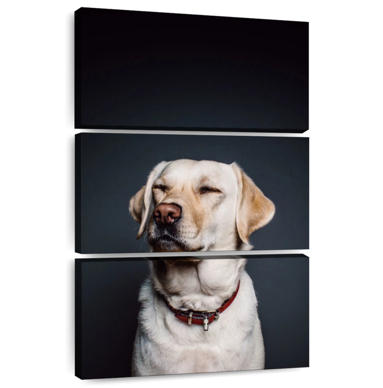 Brampt Squinting Labrador, 32" H x 20" W