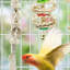 16.5cm Solid Wood Bird Play Centre