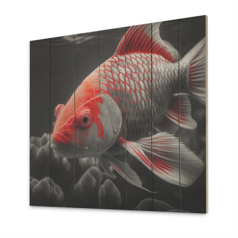 «Black and Red Tropical Fish I», reproduction sur toile, H 36 po x l 36 po x P 1,5 po, Bois