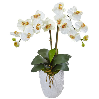 Agencement floral à double phalaenopsis en soie dans un pot de fleurs