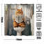 Funny Shower Curtain With Hooks