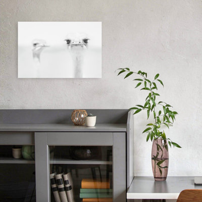Curious Ostrich Portrait Minimalist Bird Wall Art Print by Carlo Tonti - Wrapped Canvas Print