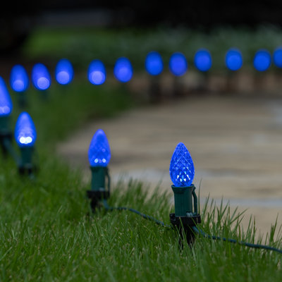 Luminary & Pathway Lights