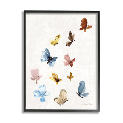 " Varied Butterflies Flutter Nature "