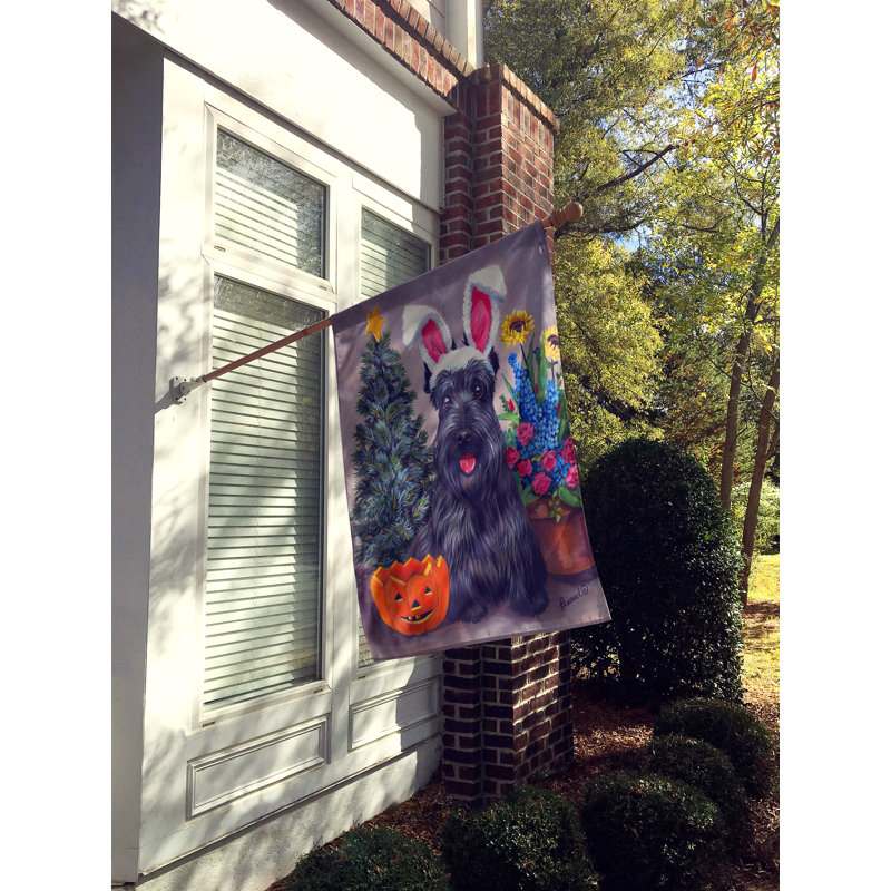 Drapeau de maison Hvidovre Sheltie Halloween en polyester à 2 faces 3 x 2 pi, Terrier écossais toutes saisons