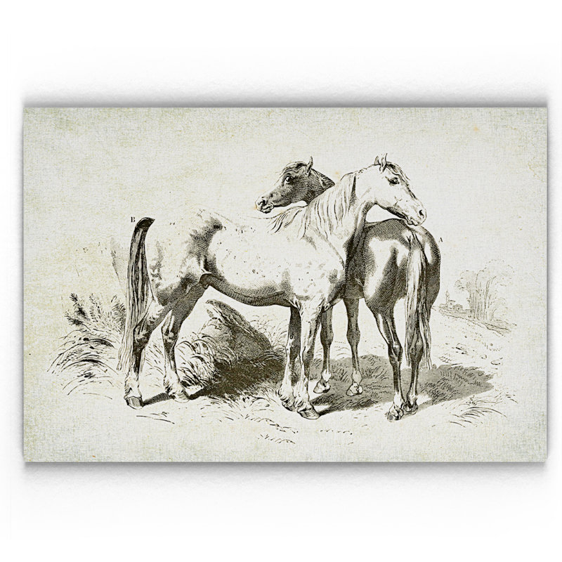 « équin assiette iv », reproduction, H 32 po x l 48 po x P 1,5 po, Pas de tapis, Toile tendue