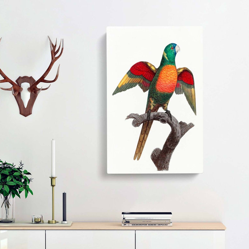 A Blue-Headed Parrot by F. Levaillant - Wrapped Canvas, 60cm H x 40cm W x 3cm D