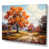 Wrapped Canvas
