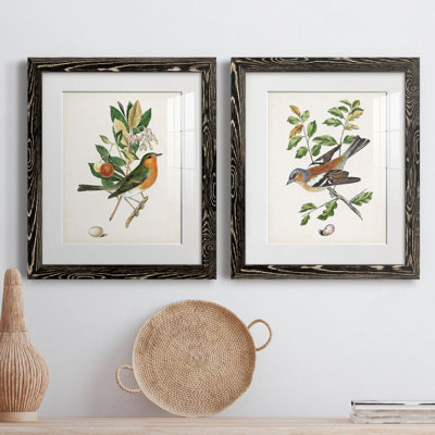 " Antique Bird, Botanical And Egg I " 2 - Pieces Painting Print